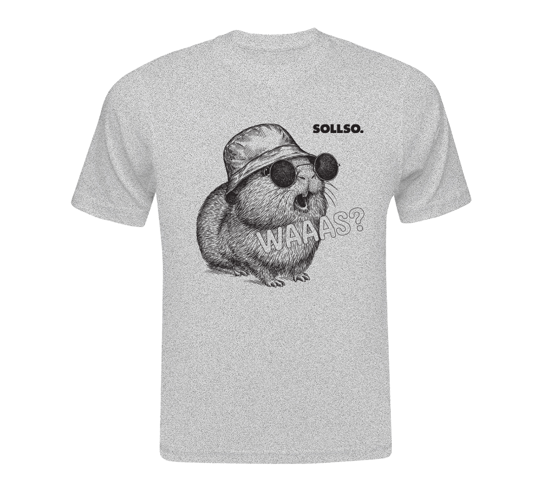 T-Shirt "Capybara" Farbe Melange Gray, by SOLLSO., Gr.10XL